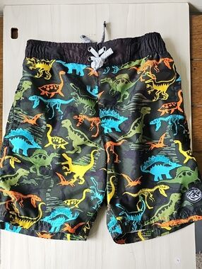 ZeroXposur Black Swim Shorts with Multicolor Dinosaur Print